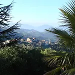 Ruraux Aria Falcona * Santa-Maria-Figaniella