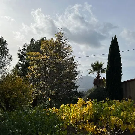 Ruraux Aria Falcona * Santa-Maria-Figaniella