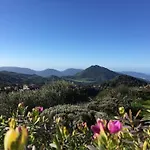Ruraux Aria Falcona Santa-Maria-Figaniella