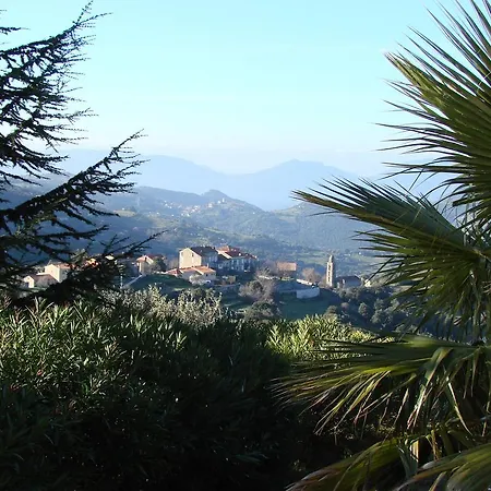 Ruraux Aria Falcona * Santa-Maria-Figaniella