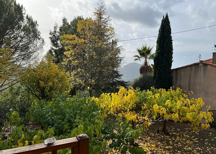 Ruraux Aria Falcona Santa-Maria-Figaniella