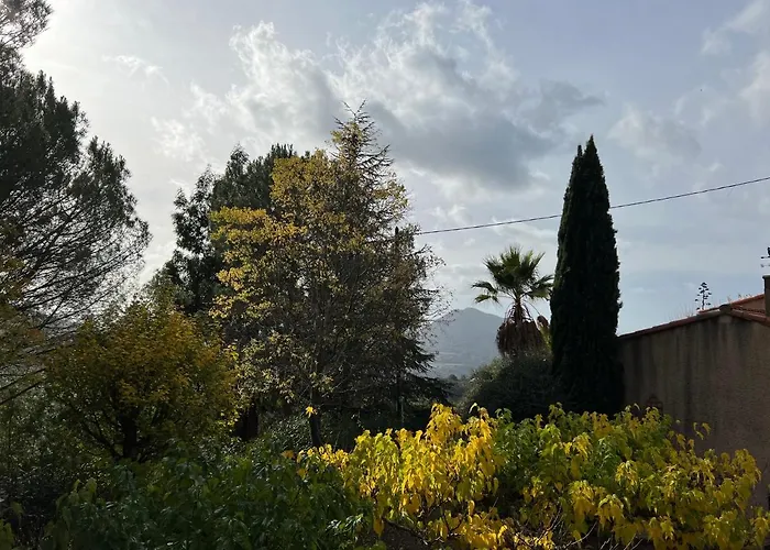 Ruraux Aria Falcona * Santa-Maria-Figaniella