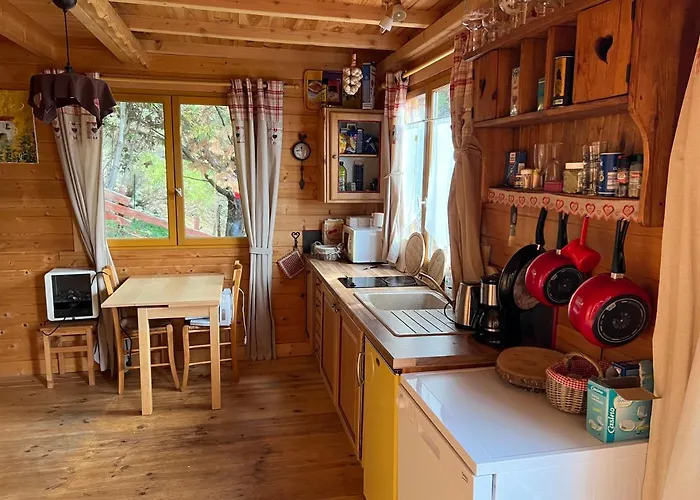 Ruraux Aria Falcona * Santa-Maria-Figaniella