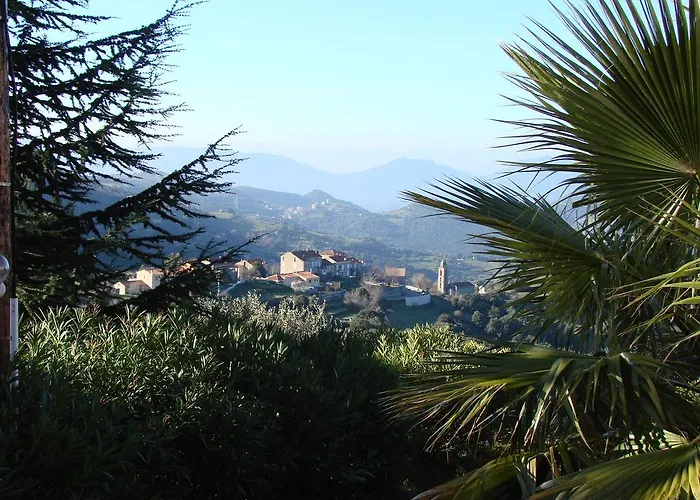 Ruraux Aria Falcona * Santa-Maria-Figaniella