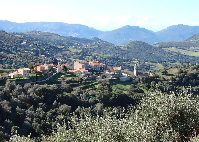 Ruraux Aria Falcona *