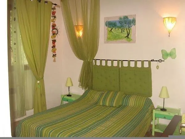 Ruraux Aria Falcona *