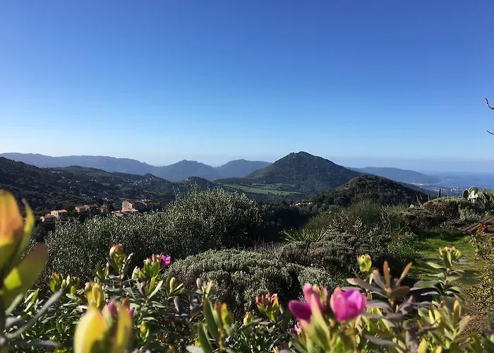 Ruraux Aria Falcona Santa-Maria-Figaniella