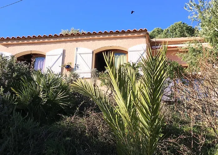 Tatil Evi Ruraux Aria Falcona Santa-Maria-Figaniella