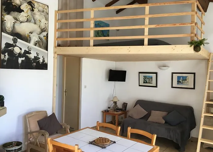 Ruraux Aria Falcona * Santa-Maria-Figaniella